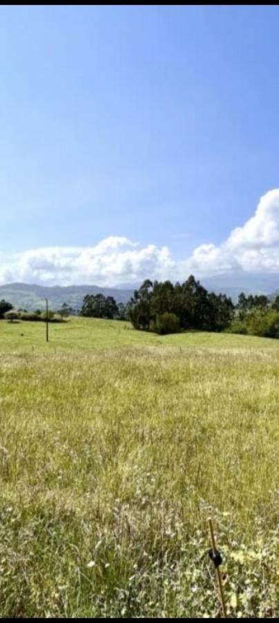 El Acebu Villa Colombres Bagian luar foto